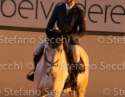 Berlin dei Folletti TosTour2013- S5 3176 : Arezzo, Arezzo Equestrian Centre, Berlin dei Folletti, Cavalli d'Italia, Toscana Tour 2013, foto di Stefano Secchi ©